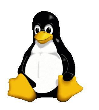 Save with Linux